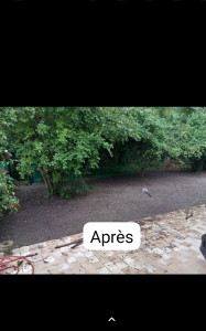 Photo de galerie - Remise en état d'une nouvelle pelouse