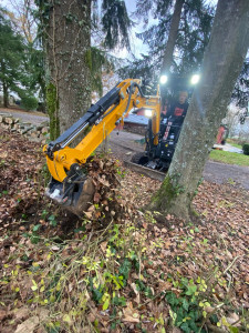 Photo de galerie - Dessouchage