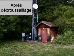 Photo de galerie - Après débroussaillage d’un site relais pour opérateur téléphonique