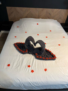 Photo de galerie - Ménage