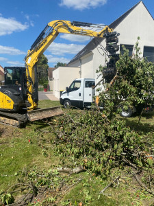 Photo de galerie - Arrachage de végétaux divers et évacuation 