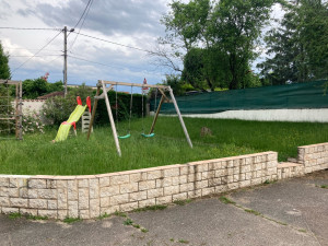 Photo de galerie - Tonte de pelouse - Débroussaillage