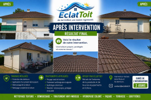 Photo de galerie - Après intervention 

Voici le résultat après nettoyage, traitement antifongique et algicide professionnel et hydrofuge coloré brun professionnel.

Antenne TV retirer et gouttières nettoyer 
