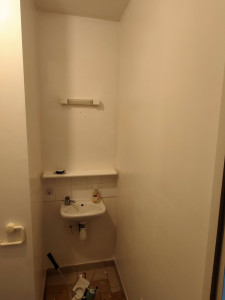 Photo de galerie - Peinture toilette blanc et un mur vert