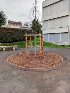 Photo de galerie - Paysagiste - Aménagement du jardin