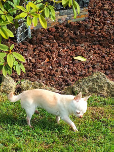 Photo de galerie - On profite du jardin 


on profite du jardin 



