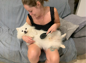 Photo de galerie - Un petit spitz japonais que j’ai chouchouter pendant que ces propriétaires était parti en vacances. 