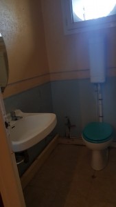 Photo de galerie - Changement des toilettes (AVANT)