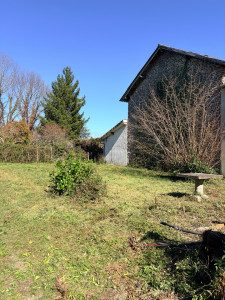 Photo de galerie - Tonte de pelouse - Débroussaillage