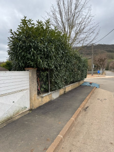 Photo de galerie - Taille de haies et d'arbustes