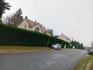 Photo de galerie - Tailles haies 