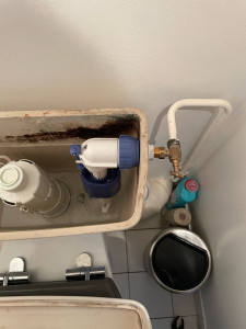Photo de galerie - Mécanisme de WC