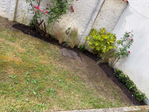 Photo de galerie - Plantation 
