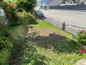 Photo de galerie - Tonte de pelouse - Débroussaillage