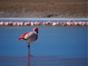 Photo de galerie - Photographe à mes heures perdues