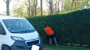 Photo de galerie - Taille de thuyas 