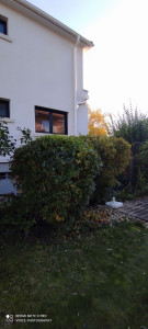 Photo de galerie - Taille de toutes haies.