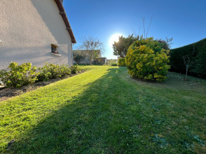 Photo de galerie - Tonte- débroussaillage