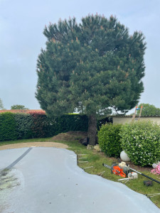 Photo de galerie - Avant 