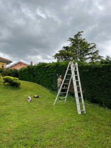 Photo de galerie - Petite taille du jour