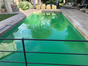 Photo de galerie - Entretien piscine