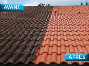 Photo de galerie - Couverture - Toiture