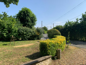 Photo de galerie - Taille de haies et d'arbustes