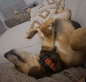 Photo de galerie - La belle vie ma Leya