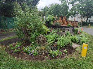 Photo de galerie - Amenager un massif 