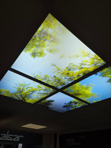 Photo de galerie - Panneau led effet forêt 