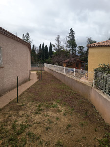 Photo de galerie - Tonte de pelouse - Débroussaillage