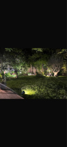 Photo de galerie - Mise en place d’un éclairage extérieur afin de mettre en valeur les différents végétaux 