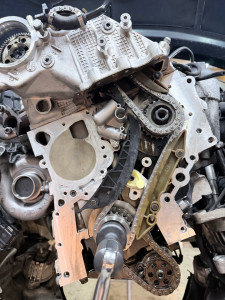 Photo de galerie - Distribution M57