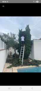 Photo de galerie - Abattage 