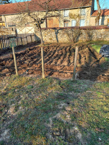 Photo de galerie - Effectue tonte, taille , bois de chauffage , démarrage de jardin , conseils de ma propre expérience,  j aime être en extérieur je travail de nuit mais disponible les après midi en wee kend 