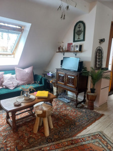 Photo de galerie - Gros trie, rangement et nettoyage d'un salon réalisée (après)