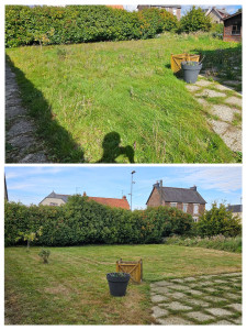 Photo de galerie - Tonde de pelouse 