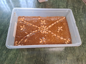 Photo de galerie - Cuisinier - Chef à domicile