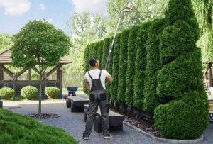 Photo de galerie - Entreprise jacques travail soigné propre rapide sérieux 