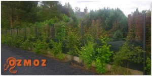 Photo de galerie - Intégration d'une clôture dans la végétation