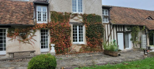 Photo de galerie - Taille vigne vierge, boules buis et rosiers