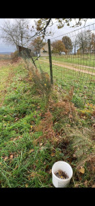 Photo de galerie - Clôture Grillage