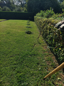 Photo de galerie - Aide à domicile