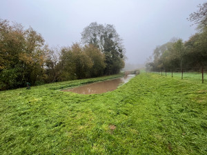 Photo de galerie - Fauchage