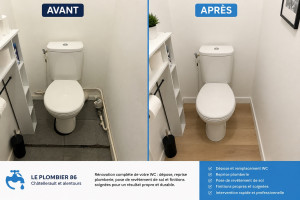 Photo de galerie - Remplacement de toilette