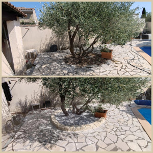 Photo de galerie - Aménagement au pied d'un olivier, pavés en pierre naturelle scellés et jointés. 