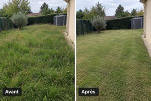 Photo de galerie - Tonte de pelouse de 120m2 carrés 