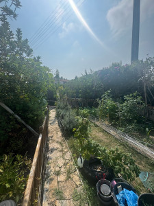 Photo de galerie - Débroussaillage de deux chemins de jardin 