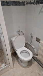 Photo de galerie - Installer wc et douchette 