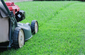 Photo de galerie - Coup et taille de votre gazon